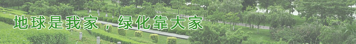 Cʩ